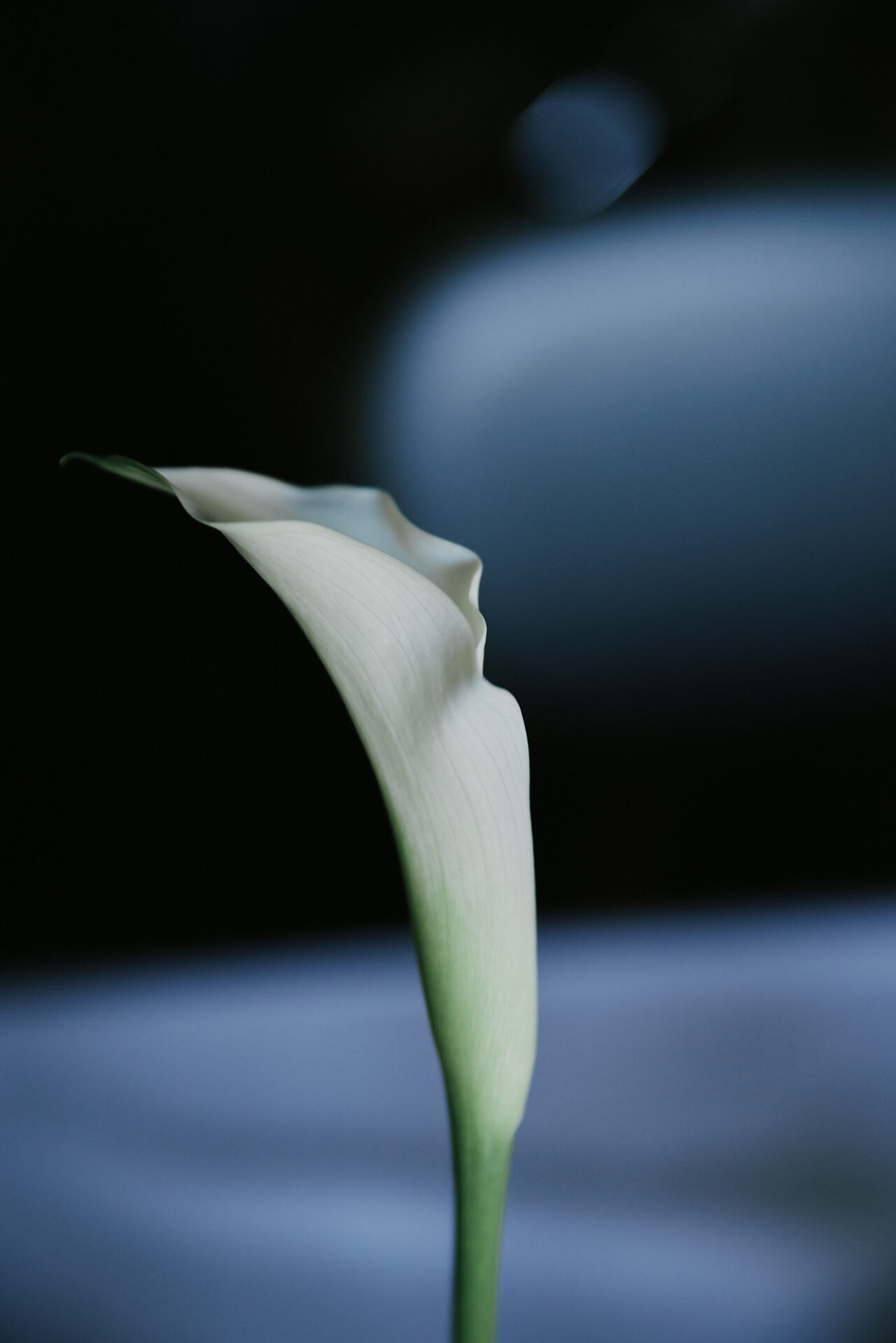 _N0A3155